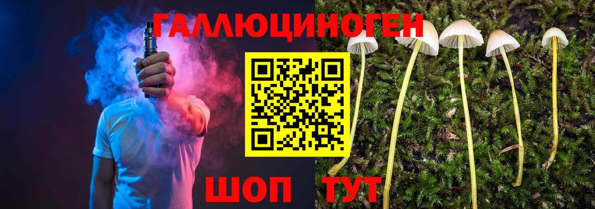 Сарапул  Псилоцибиновые грибы мухоморы  Вход с VPN 