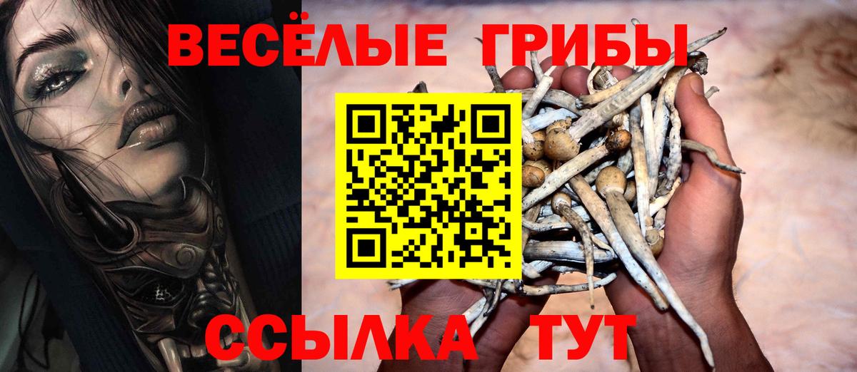 Галлюциногенные грибы Psilocybine cubensis Сарапул